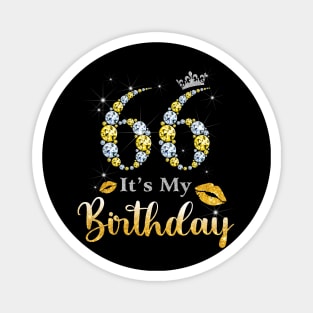 It's My 66th Birthday Magnet